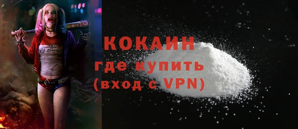 PSILOCYBIN Кулебаки