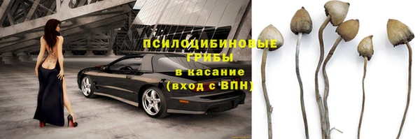 ГАЛЛЮЦИНОГЕННЫЕ ГРИБЫ Кукмор