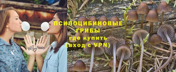 ГАЛЛЮЦИНОГЕННЫЕ ГРИБЫ Кукмор