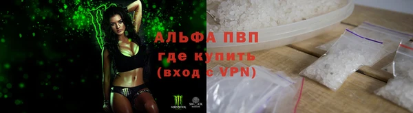прущие грибы Куйбышев