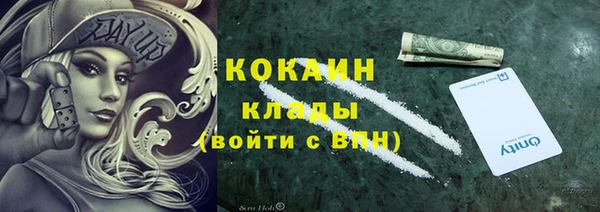 PSILOCYBIN Кулебаки