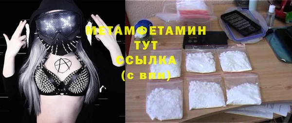 прущие грибы Куйбышев
