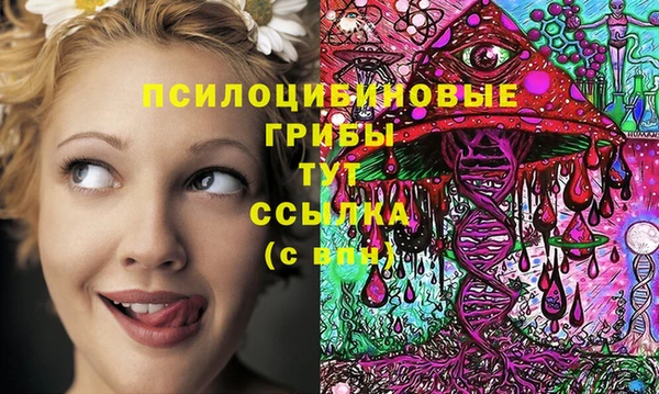 прущие грибы Куйбышев