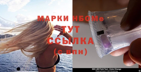 прущие грибы Куйбышев